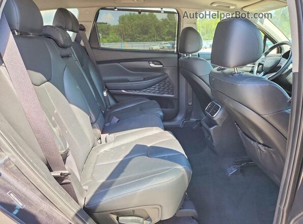 5NMS3CAD2LH249892 2020 HYUNDAI SANTA Gray უკანა სავარძლების ხედი