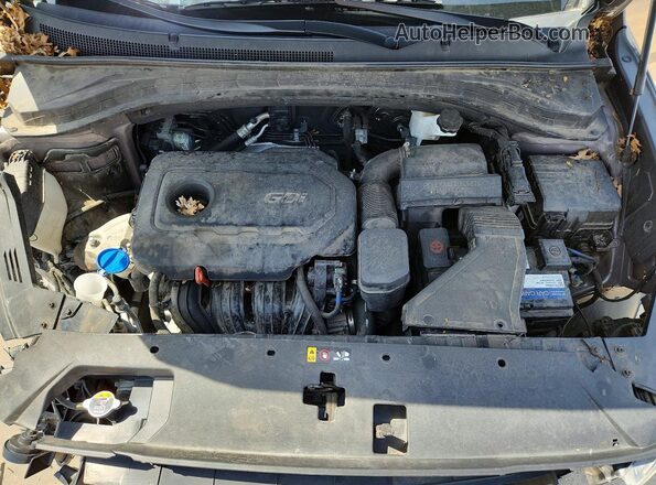 5NMS3CAD6LH222128 2020 HYUNDAI SANTA Коричневый Вид задней части салона