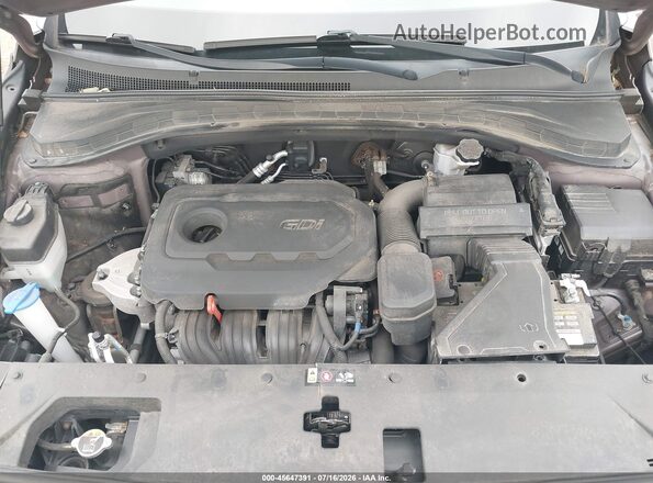 5NMS3CAD7KH005637 2019 HYUNDAI SANTA FE Brown Rear view
