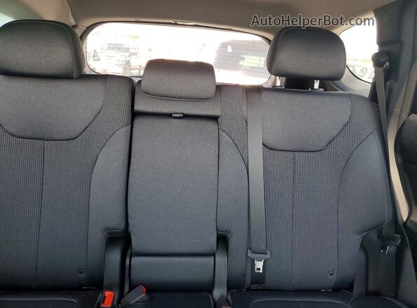 5NMS3CAD8LH268916 2020 HYUNDAI SANTA Red Հետևի նստատեղերի տեսք