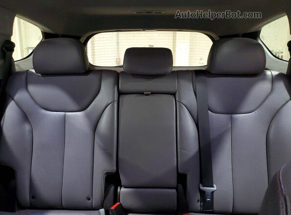 5NMS3CAD9LH197256 2020 HYUNDAI SANTA Black Rear seats view