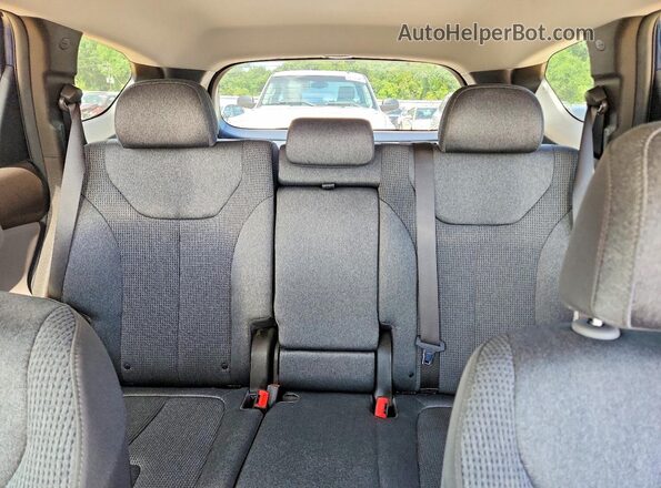 5NMS3CAD9LH255852 2020 HYUNDAI SANTA Blue Հետևի նստատեղերի տեսք