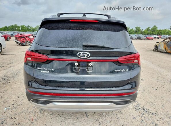 5NMS3DA11PH006561 2023 HYUNDAI SANTA Черный Вид сзади