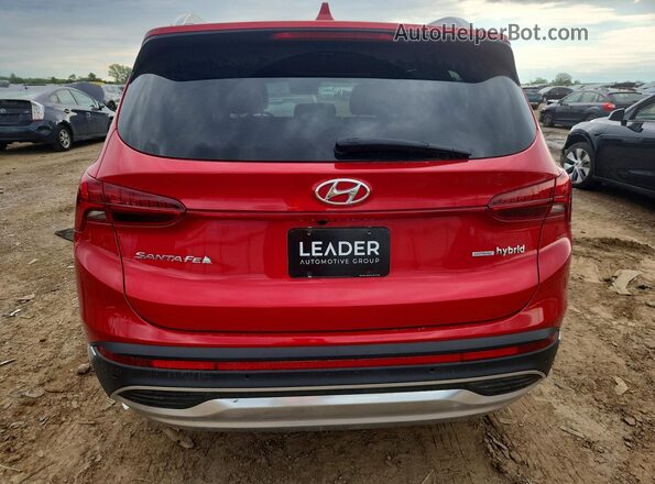 5NMS3DA12PH004656 2023 HYUNDAI SANTA Red Widok z tyłu