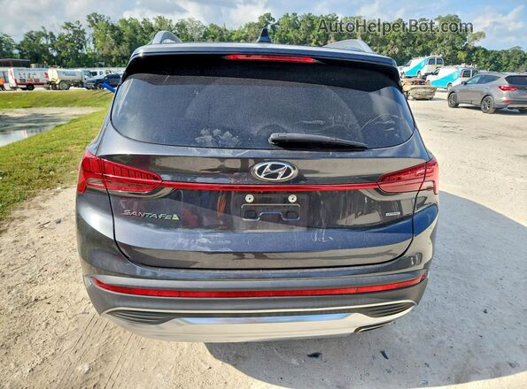 5NMS3DAJ1PH553619 2023 HYUNDAI SANTA Black Widok z tyłu