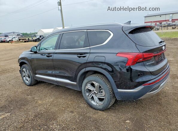 5NMS3DAJ6MH353573 2021 HYUNDAI SANTA Black Задня ліва чверть