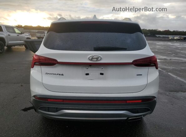 5NMS3DAJ8PH619535 2023 HYUNDAI SANTA White Widok z tyłu