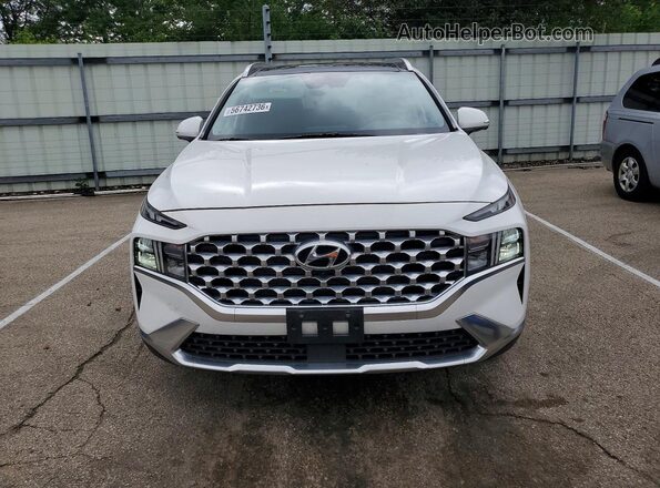 5NMS3DAJ9PH531397 2023 HYUNDAI SANTA White წინა ხედი