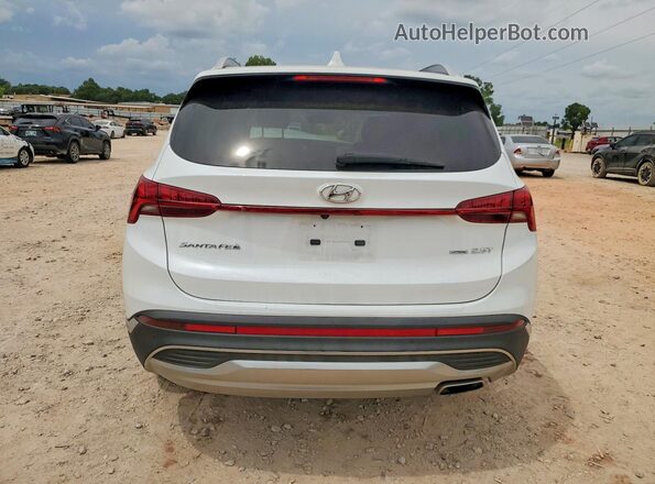 5NMS4DAL2MH352239 2021 HYUNDAI SANTA White Հետևի տեսք