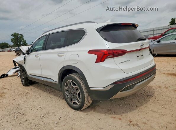 5NMS4DAL2MH352239 2021 HYUNDAI SANTA White Հետևի ձախ