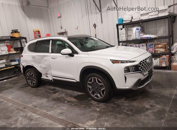 5NMS4DAL3MH370426 2021 HYUNDAI SANTA FE White Панорамний вид салону 360°