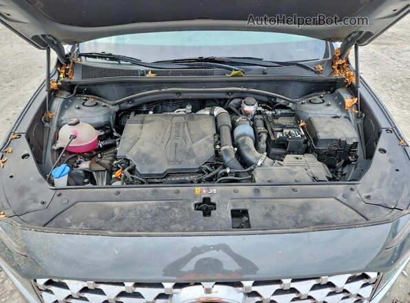 5NMS4DAL7PH577518 2023 HYUNDAI SANTA Gray ძრავის განყოფილების ხედი