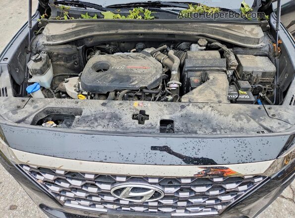 5NMS53AA5KH102500 2019 HYUNDAI SANTA Black Widok komory silnika