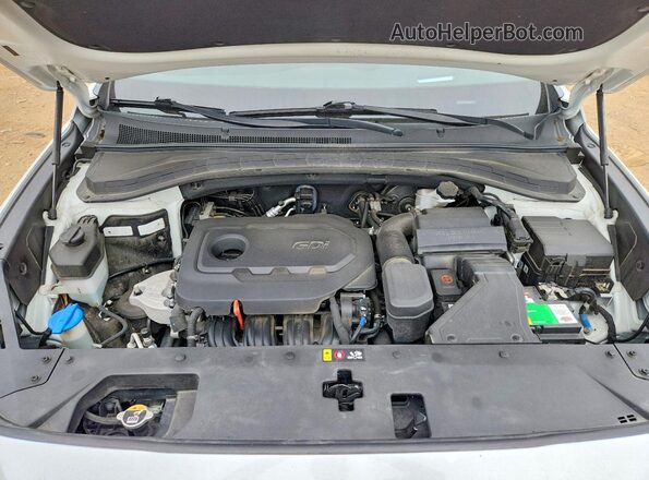 5NMS53AD2LH145008 2020 HYUNDAI SANTA White Vista interior trasera