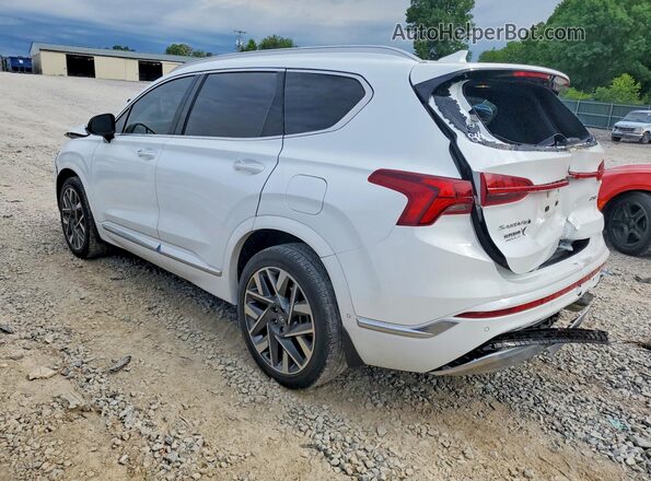 5NMS54AL0PH630086 2023 HYUNDAI SANTA White უკანა მარცხენა