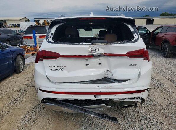 5NMS54AL0PH630086 2023 HYUNDAI SANTA White უკანა ხედი