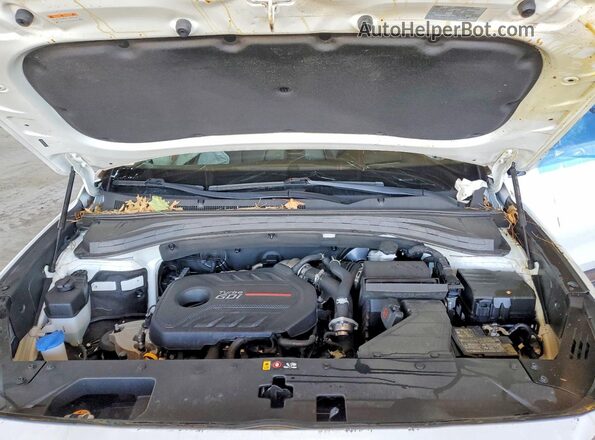 5NMS5CAA3LH246760 2020 HYUNDAI SANTA White Vista del compartimento del motor