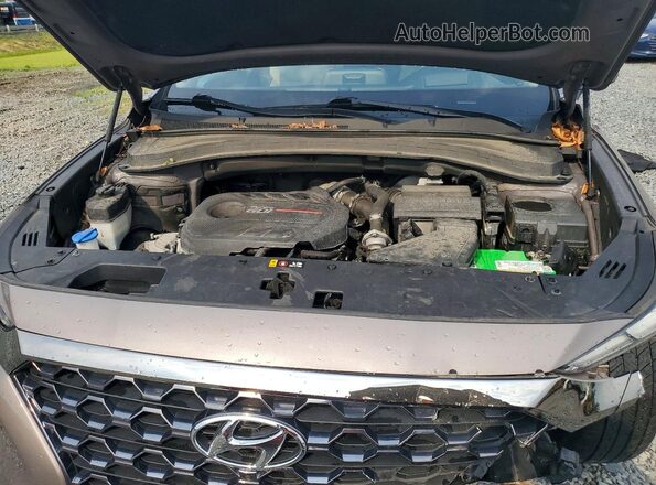 5NMS5CAA4LH255418 2020 HYUNDAI SANTA Tan Շարժիչի բաժամունքի տեսք