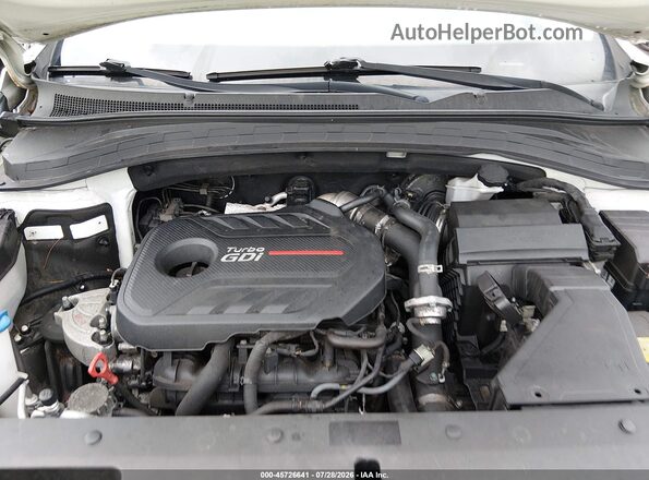 5NMS5CAA9KH011021 2019 HYUNDAI SANTA FE Белый Вид сзади
