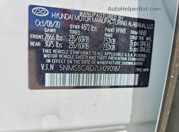 5NMS5CAD7LH290187 2020 HYUNDAI SANTA White Հետևի նստատեղերի տեսք