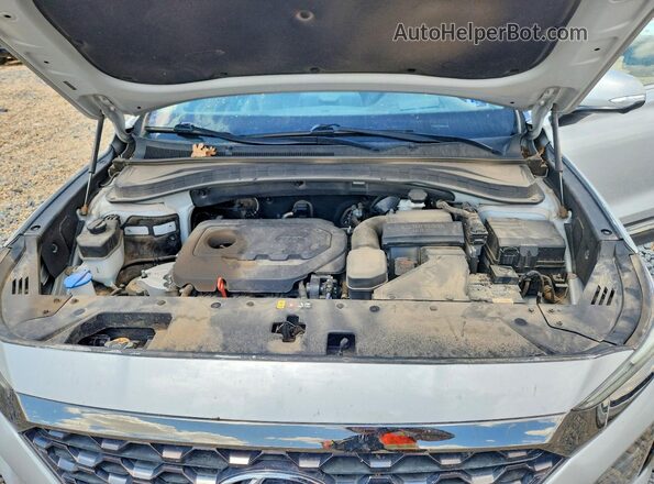 5NMS5CADXLH142289 2020 HYUNDAI SANTA Silver Widok komory silnika