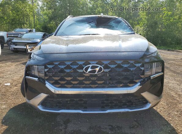 5NMS5DAL0PH490525 2023 HYUNDAI SANTA Black Front view
