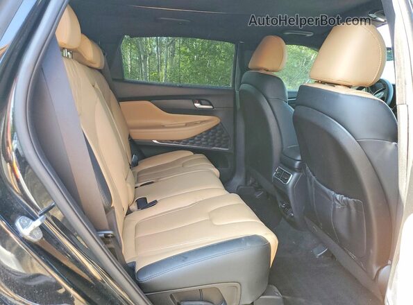 5NMS5DAL0PH490525 2023 HYUNDAI SANTA Black Rear seats view