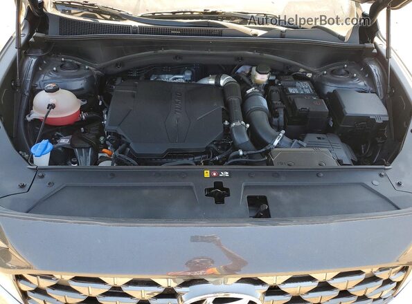 5NMS5DAL3MH337987 2021 HYUNDAI SANTA Gray Vista interior trasera