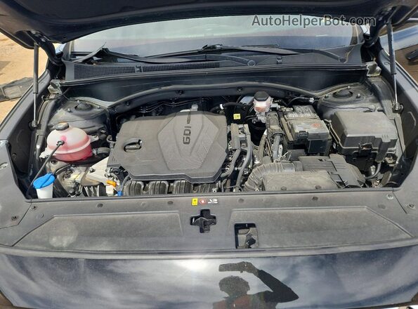 5NMS6DAJ0MH371350 2021 HYUNDAI SANTA Black Rear interior view