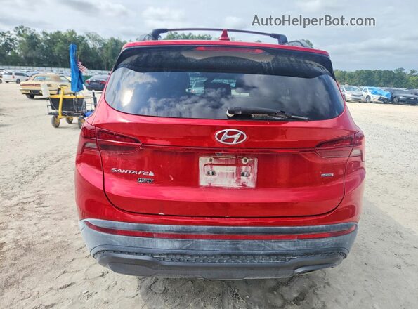 5NMS6DAJ6PH491402 2023 HYUNDAI SANTA Red უკანა ხედი