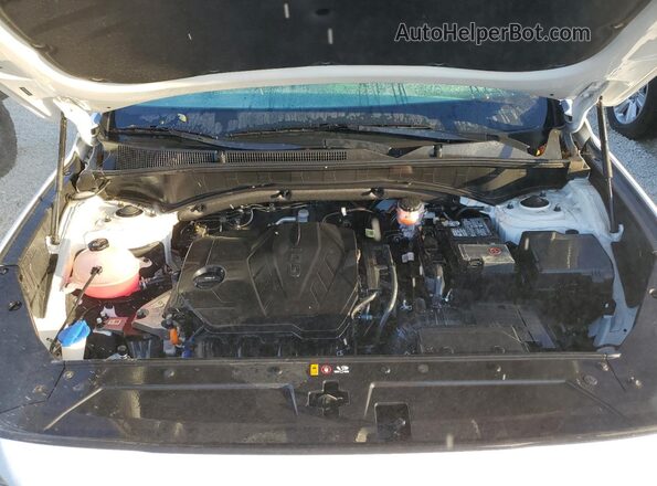 5NMS6DAJXNH421348 2022 HYUNDAI SANTA White Widok komory silnika