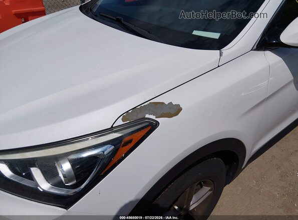 5NMZU3LB6HH028200 2017 HYUNDAI SANTA FE SPORT Белый Вид спереди