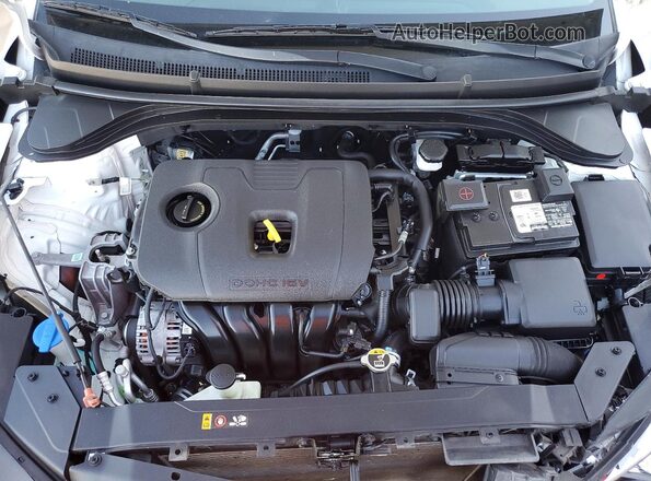 5NPD74LF0LH513020 2020 HYUNDAI ELANTRA Белый Вид задней части салона