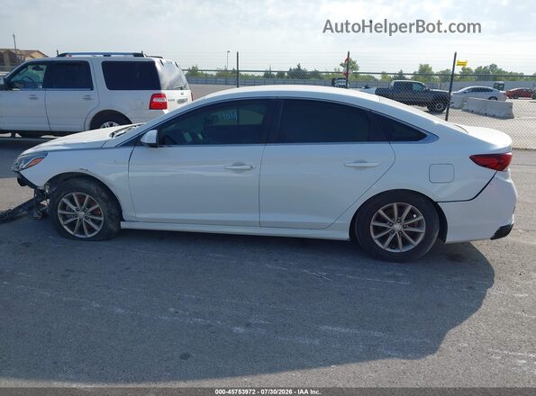 5NPD74LF4LH498733 2020 HYUNDAI ELANTRA White Սալոնի հետևի տեսք
