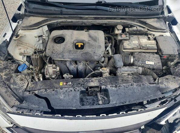 5NPD74LF8KH421751 2019 HYUNDAI ELANTRA Белый Вид задней части салона