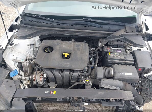 5NPD74LF8KH496871 2019 HYUNDAI ELANTRA Белый Вид сзади