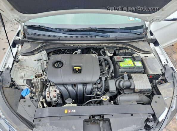 5NPD84LF0LH599023 2020 HYUNDAI ELANTRA White Rear interior view
