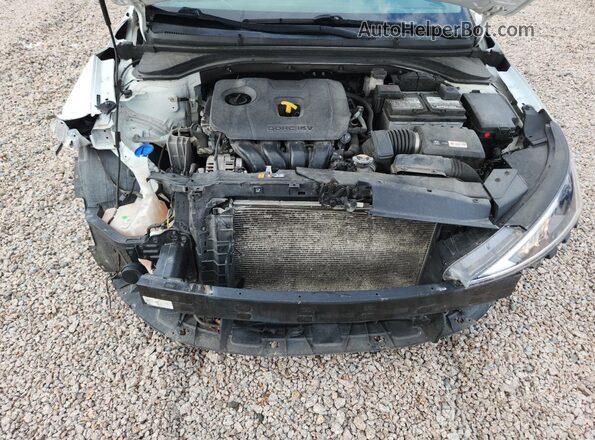 5NPD84LF2KH403923 2019 HYUNDAI ELANTRA Белый Вид задней части салона