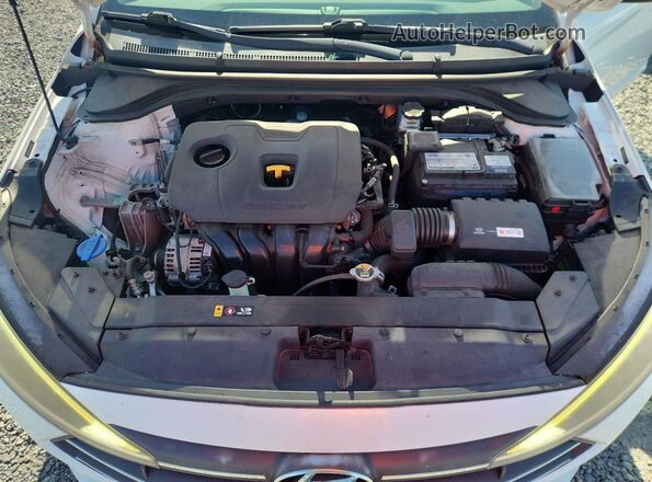 5NPD84LF6KH485610 2019 HYUNDAI ELANTRA White Սալոնի հետևի տեսք