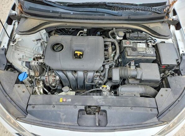 5NPD84LF7LH569761 2020 HYUNDAI ELANTRA White Вид задньої частини салону