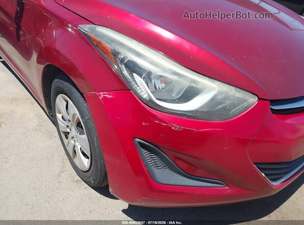 5NPDH4AE0GH699655 2016 HYUNDAI ELANTRA Бордовый Вид спереди