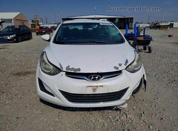 5NPDH4AE0GH700495 2016 HYUNDAI ELANTRA White Widok z przodu