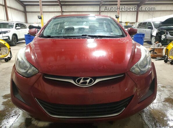 5NPDH4AE8GH665253 2016 HYUNDAI ELANTRA Red Widok z przodu