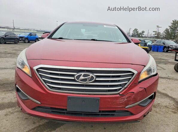 5NPE24AF0GH284771 2016 HYUNDAI SONATA Красный Вид спереди