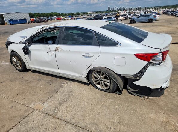 5NPE24AF0GH373370 2016 HYUNDAI SONATA White Հետևի ձախ