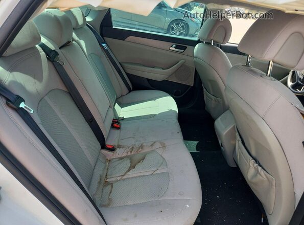 5NPE24AF0GH373370 2016 HYUNDAI SONATA White Հետևի նստատեղերի տեսք