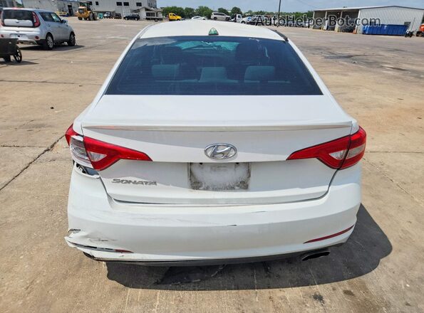 5NPE24AF0GH373370 2016 HYUNDAI SONATA White Հետևի տեսք