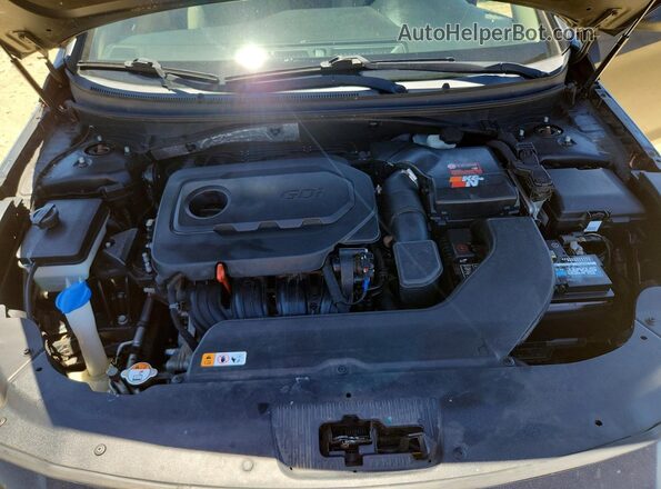 5NPE24AF0GH378794 2016 HYUNDAI SONATA Черный Вид задней части салона