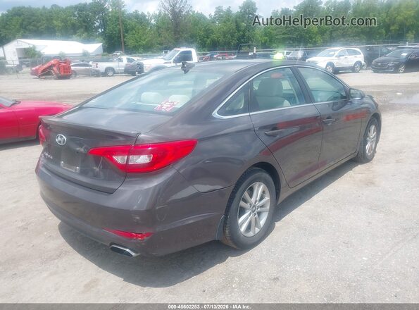 5NPE24AF0HH510325 2017 HYUNDAI SONATA Gray Հետևի աջ