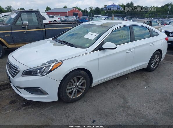 5NPE24AF0HH540151 2017 HYUNDAI SONATA Белый Передняя левая четверть